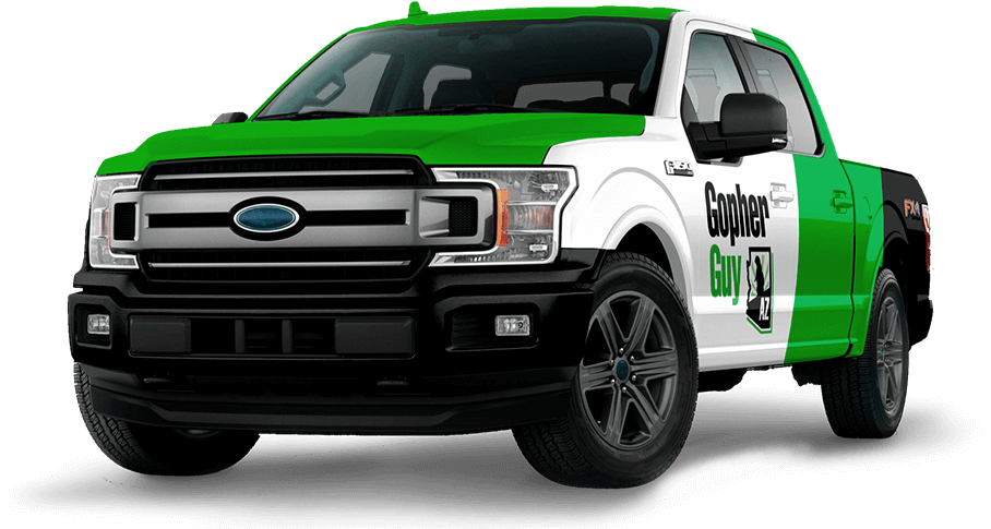 Gopher Pest Control Company in Gold Canyon