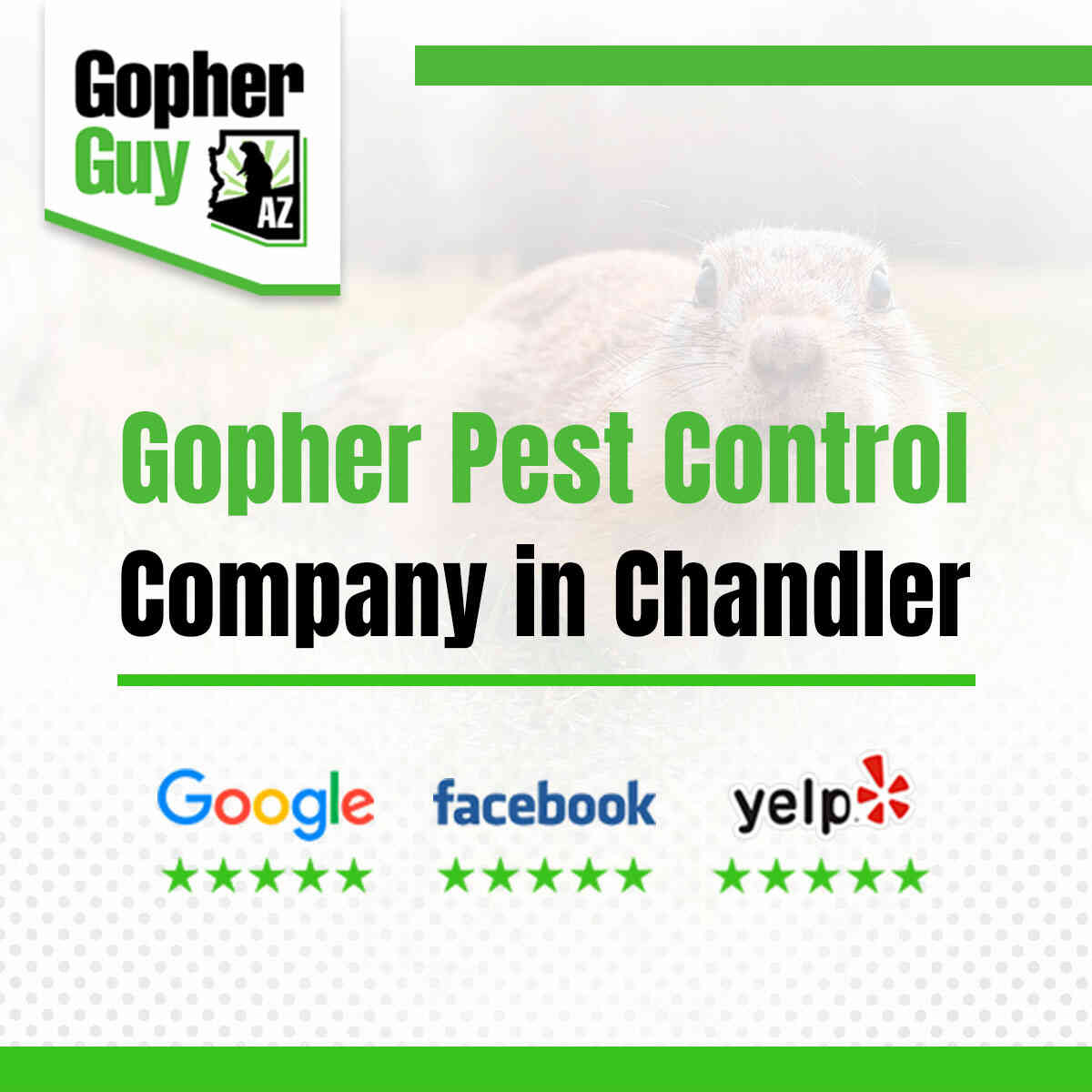 Gopher control deals