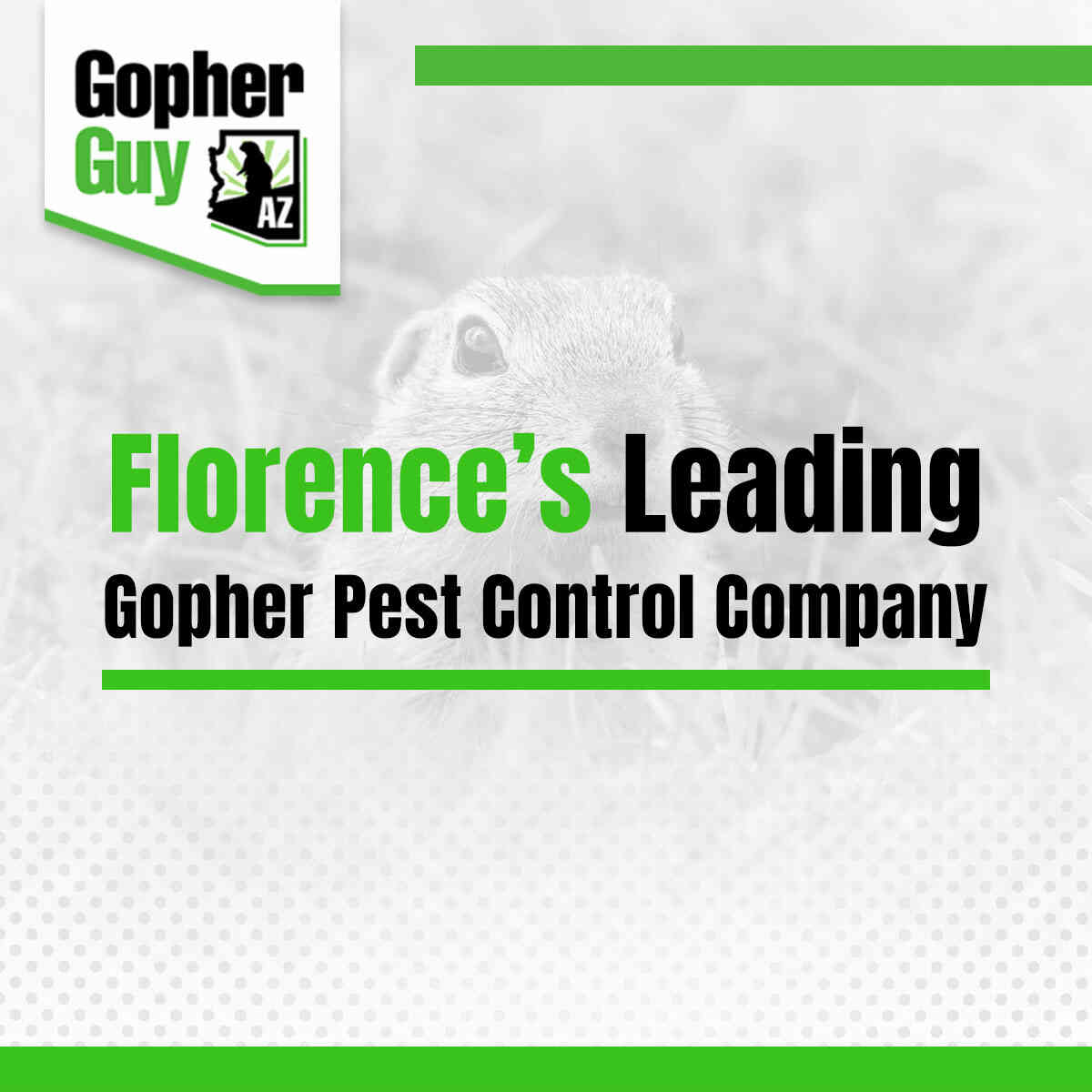 Five Star Rated Gopher Pest Control Company In Florence